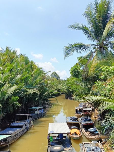 ben-tre-mekong-delta-explorating-local-life-lesstouristy-1-day (11)